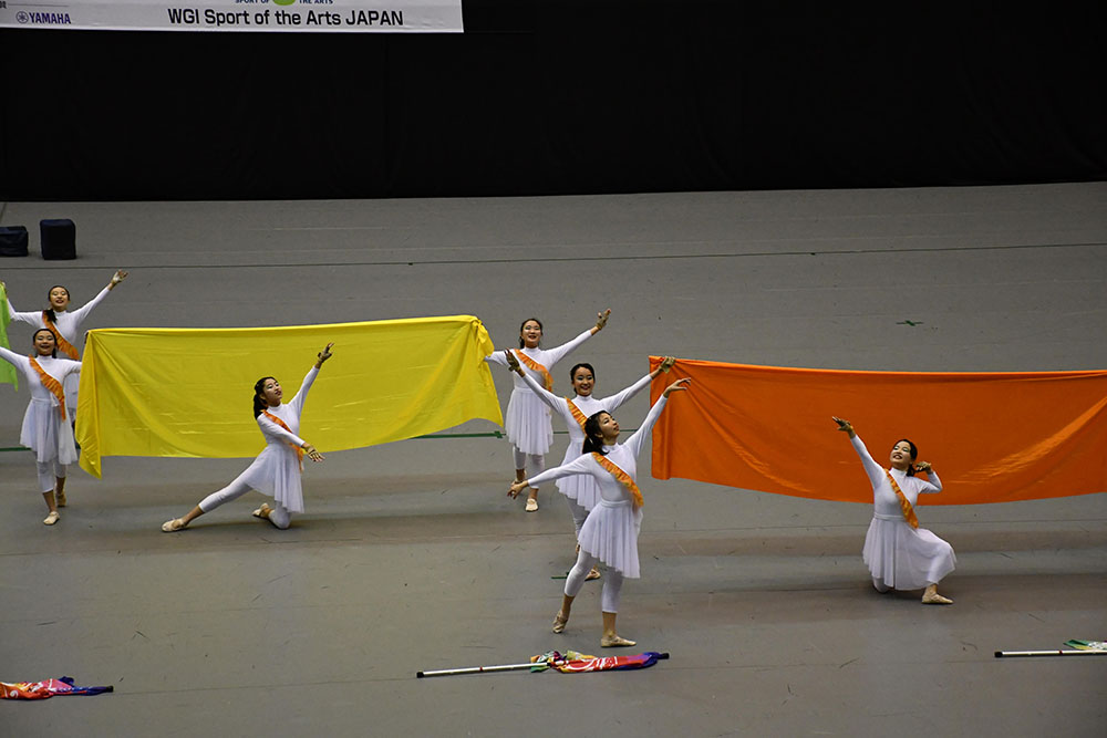 190203Color Guard Nationals (98).JPG