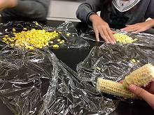 2015090902-s.JPG