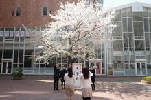 20190406nyugakushiki (20).JPG