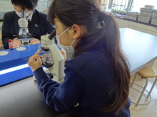 DSC01052.JPG
