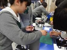 DSC01101.JPG