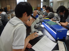 DSC01103.JPG