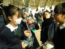 DSCN0530.JPG