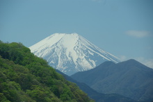 IMGP0699.JPG