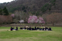IMGP07371.JPG