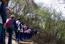 IMGP1421.JPG