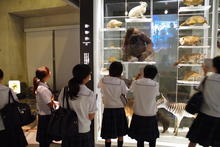 IMGP2427.JPG