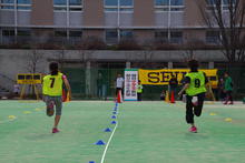 IMGP3247.JPG