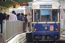 IMGP3717.JPG