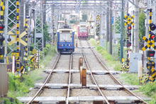 IMGP3772.JPG