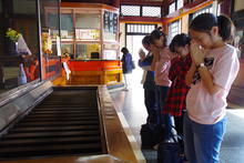 IMGP3914.JPG