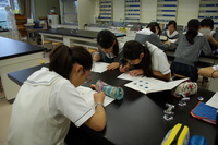 IMGP3971.JPG