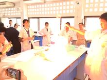 IMG_3037.JPG