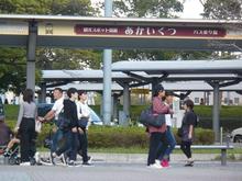 P1090591-s.JPG