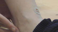 S2440015.JPG