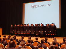 SP04.JPG